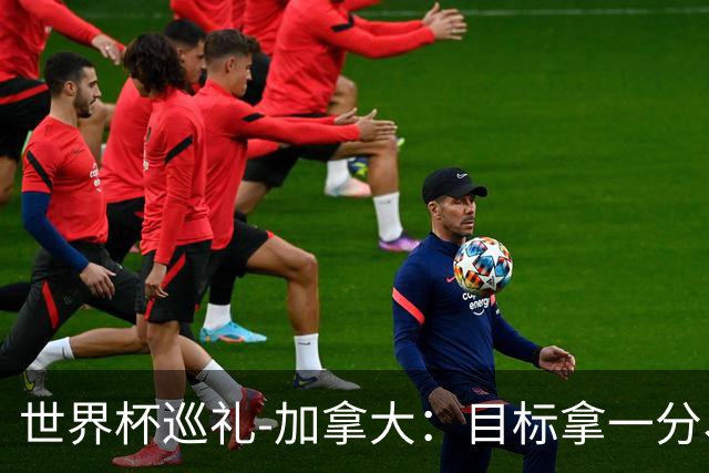 世界杯巡礼-加拿大：目标拿一分、赢一场，晋级32强