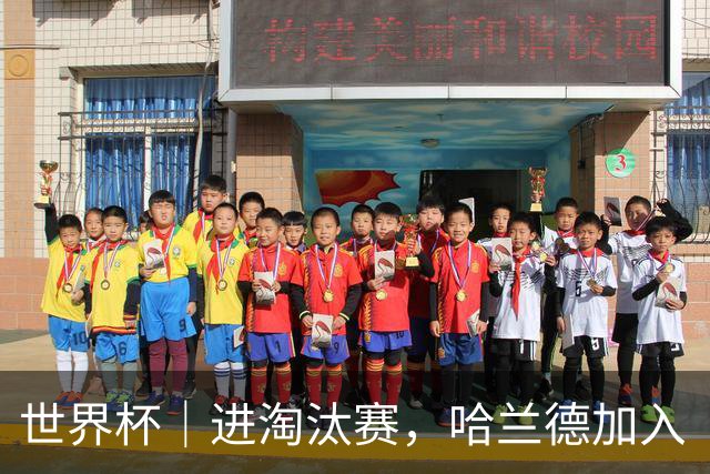 世界杯｜进淘汰赛，哈兰德加入“维京划船”