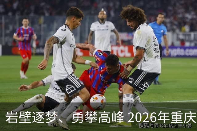岩壁逐梦、勇攀高峰 2026年重庆市攀岩挑战赛落幕